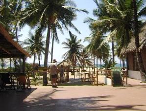 Palm trees Barra lodge